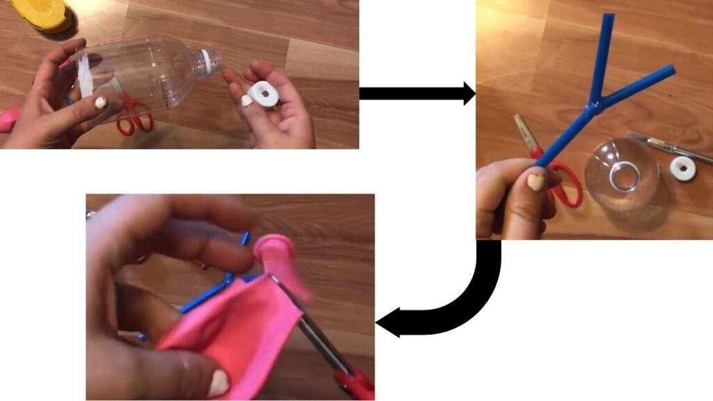 The Human Lungs Are As Important As The Heart Lungs 1 1 1024x576